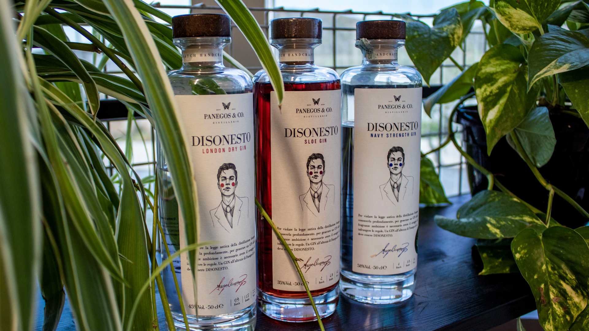 Bottiglie della collezione "Disonesto" Gin di Panegos con piante sullo sfondo